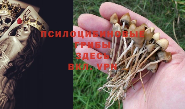 mdpv Арсеньев
