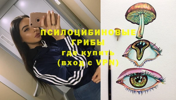 гашик Армянск