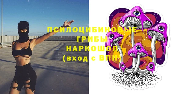 mdpv Арсеньев