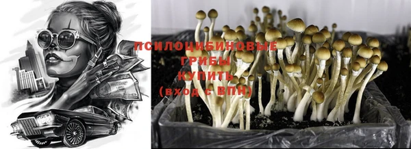 индика Карталы