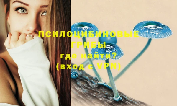 гашик Армянск