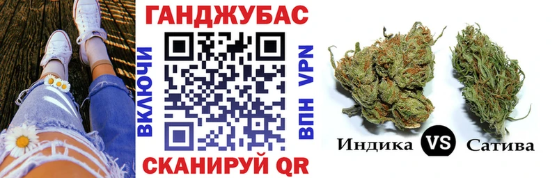 Бошки Шишки SATIVA & INDICA  где купить наркотик  Сычёвка 